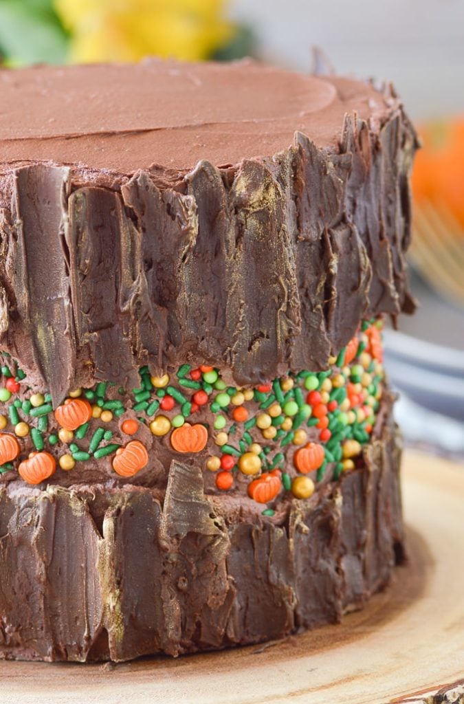 fall fault line cake with chocolate bark up close